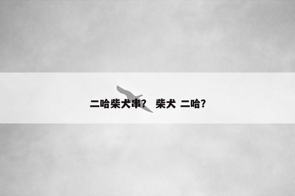 二哈柴犬串？ 柴犬 二哈？