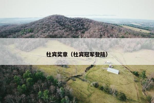 杜宾奖章（杜宾冠军登陆）