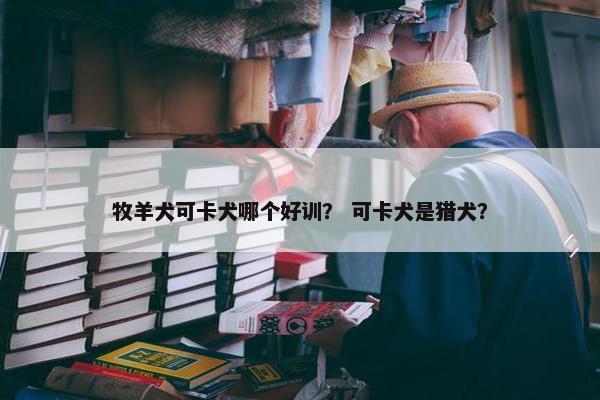 牧羊犬可卡犬哪个好训？ 可卡犬是猎犬？