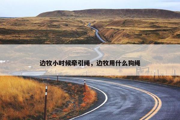 边牧小时候牵引绳，边牧用什么狗绳