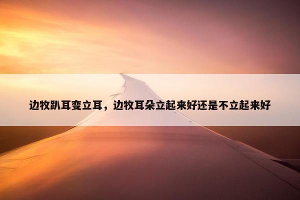 边牧趴耳变立耳，边牧耳朵立起来好还是不立起来好