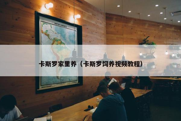 卡斯罗家里养（卡斯罗饲养视频教程）