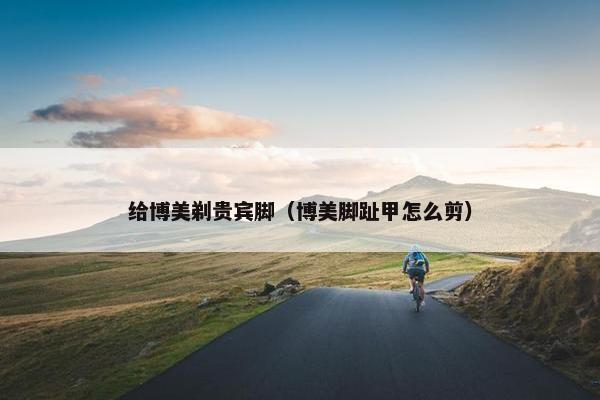 给博美剃贵宾脚（博美脚趾甲怎么剪）