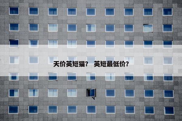天价英短猫？ 英短最低价？