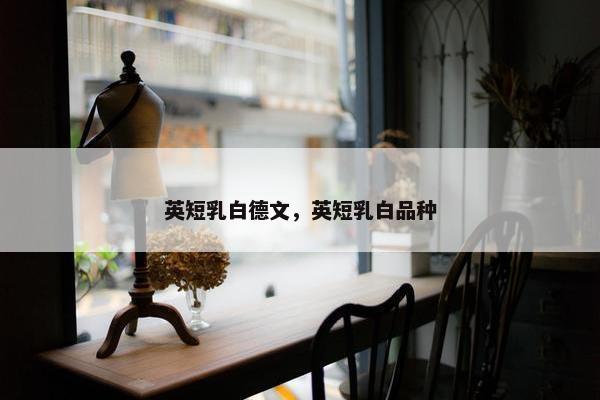 英短乳白德文，英短乳白品种