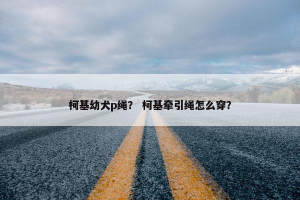柯基幼犬p绳？ 柯基牵引绳怎么穿？