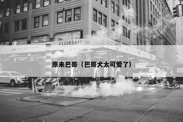 原来巴哥（巴哥犬太可爱了）