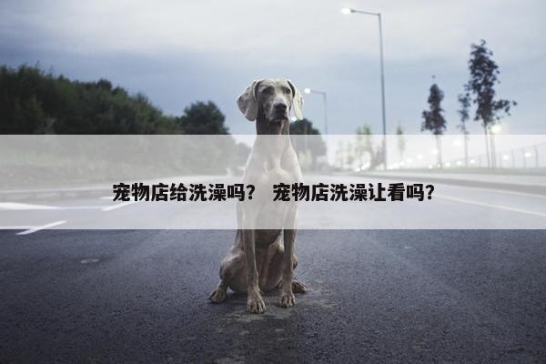 宠物店给洗澡吗？ 宠物店洗澡让看吗？