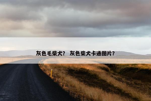 灰色毛柴犬？ 灰色柴犬卡通图片？