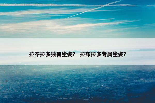 拉不拉多独有坐姿？ 拉布拉多专属坐姿？