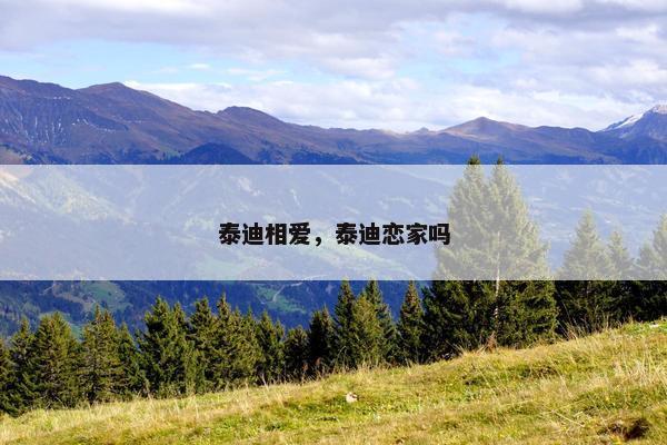 泰迪相爱，泰迪恋家吗