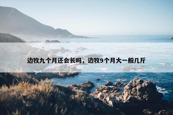 边牧九个月还会长吗，边牧9个月大一般几斤