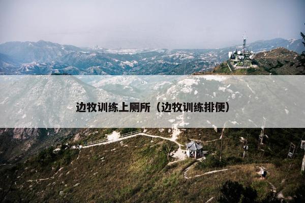 边牧训练上厕所（边牧训练排便）