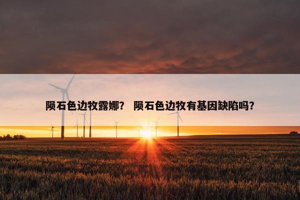 陨石色边牧露娜？ 陨石色边牧有基因缺陷吗？