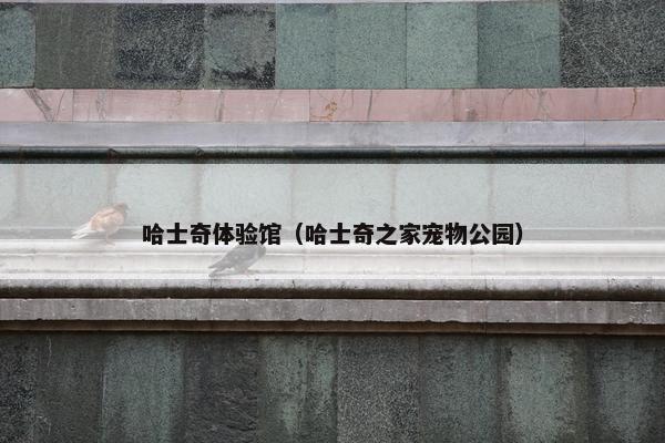 哈士奇体验馆（哈士奇之家宠物公园）