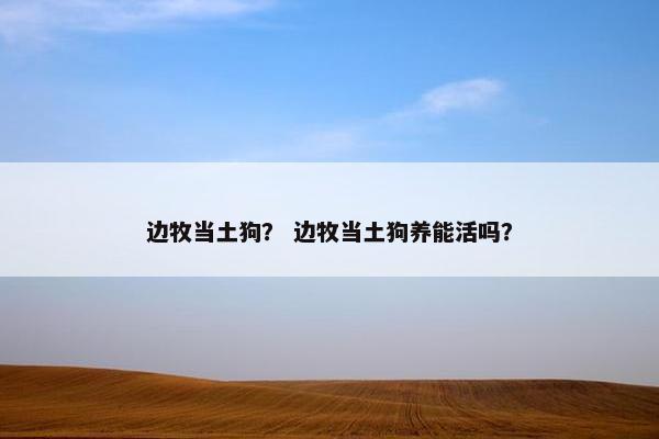 边牧当土狗？ 边牧当土狗养能活吗？