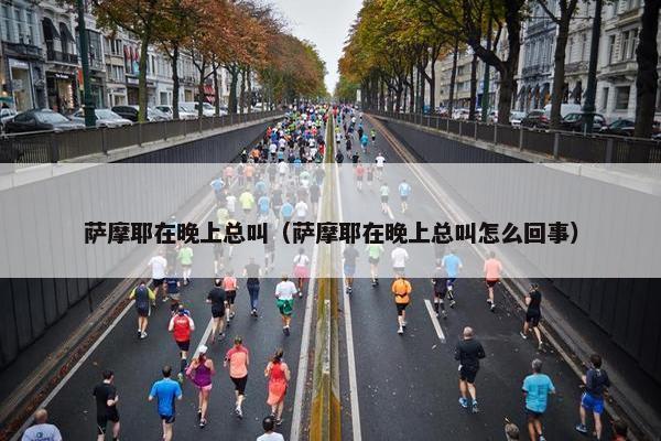 萨摩耶在晚上总叫（萨摩耶在晚上总叫怎么回事）
