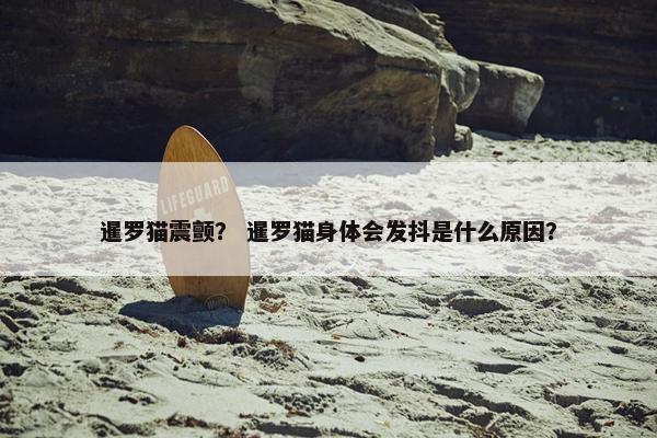 暹罗猫震颤？ 暹罗猫身体会发抖是什么原因？