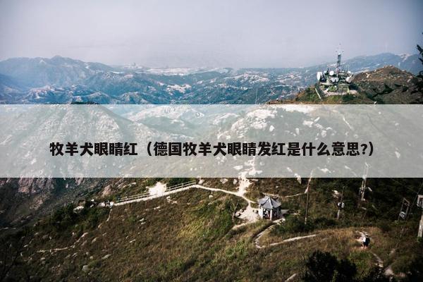 牧羊犬眼睛红（德国牧羊犬眼睛发红是什么意思?）