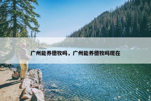 广州能养德牧吗，广州能养德牧吗现在