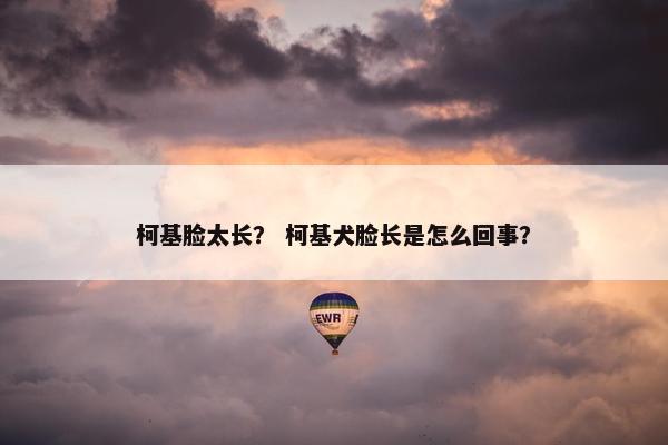 柯基脸太长？ 柯基犬脸长是怎么回事？