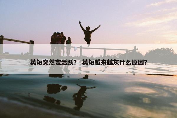 英短突然变活跃？ 英短越来越灰什么原因？