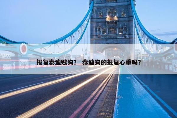 报复泰迪贱狗？ 泰迪狗的报复心重吗？