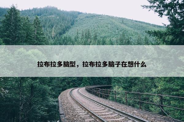 拉布拉多脑型，拉布拉多脑子在想什么