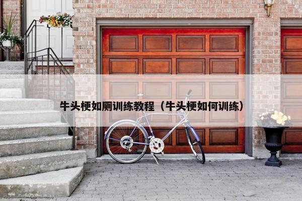 牛头梗如厕训练教程（牛头梗如何训练）