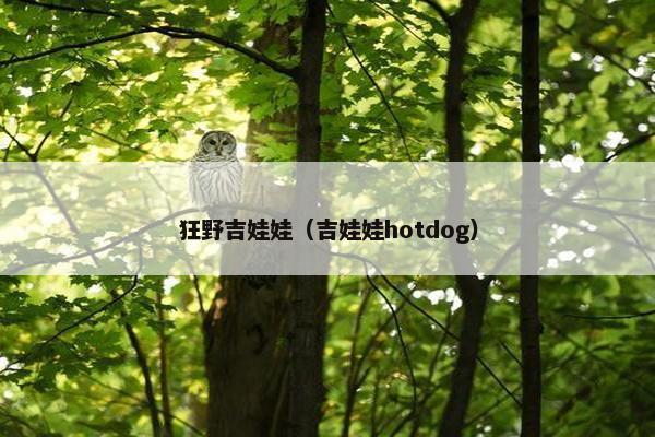 狂野吉娃娃（吉娃娃hotdog）