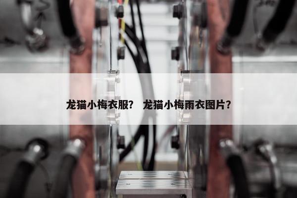 龙猫小梅衣服？ 龙猫小梅雨衣图片？