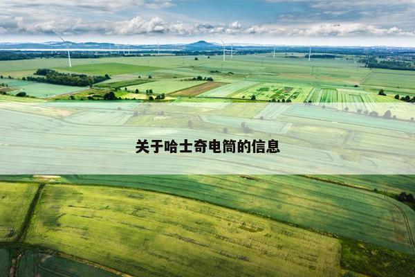 关于哈士奇电筒的信息
