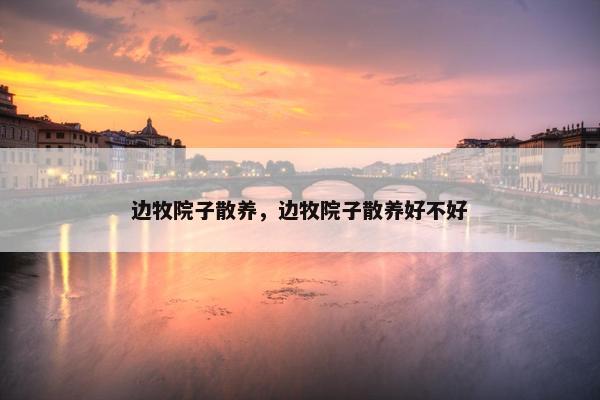 边牧院子散养，边牧院子散养好不好