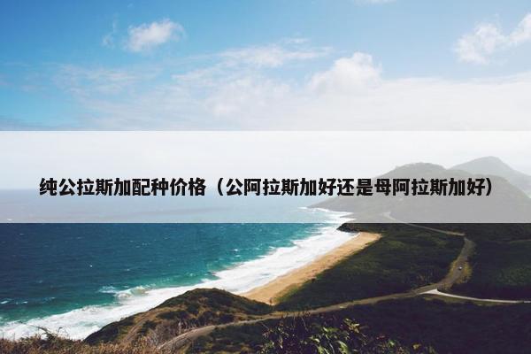 纯公拉斯加配种价格（公阿拉斯加好还是母阿拉斯加好）