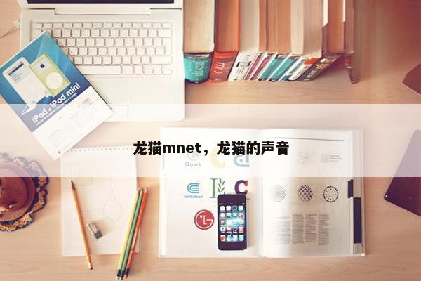 龙猫mnet，龙猫的声音