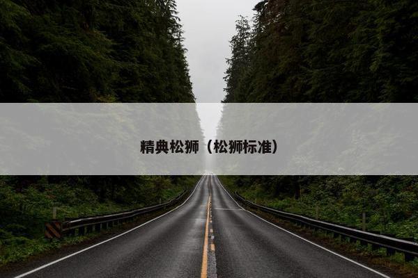 精典松狮（松狮标准）