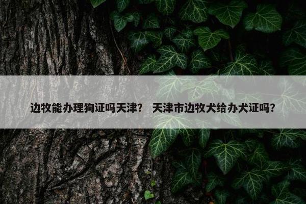 边牧能办理狗证吗天津？ 天津市边牧犬给办犬证吗？