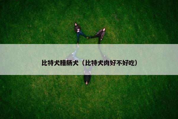 比特犬腊肠犬（比特犬肉好不好吃）