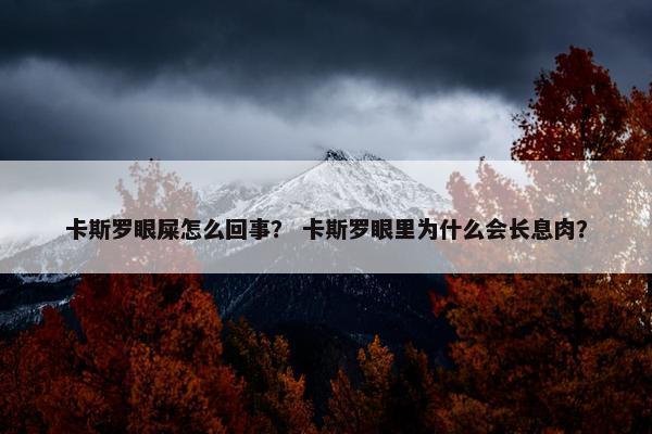 卡斯罗眼屎怎么回事？ 卡斯罗眼里为什么会长息肉？