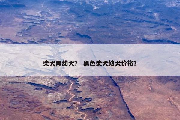 柴犬黑幼犬？ 黑色柴犬幼犬价格？
