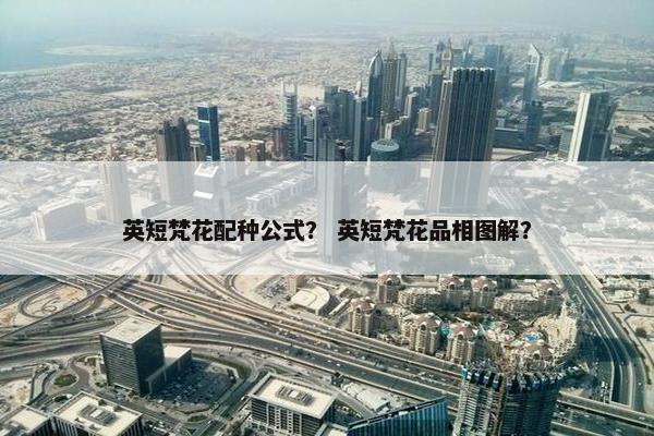 英短梵花配种公式？ 英短梵花品相图解？