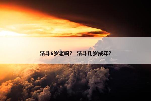 法斗6岁老吗？ 法斗几岁成年？
