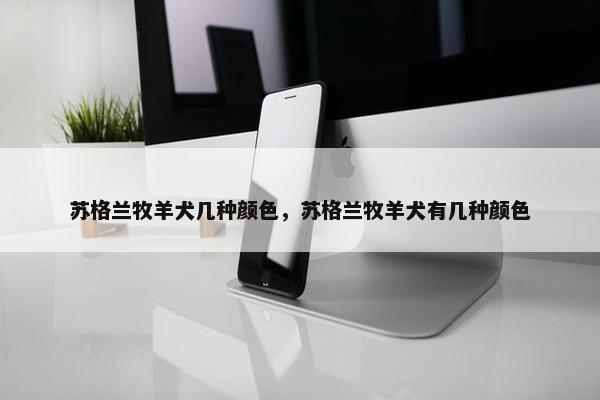 苏格兰牧羊犬几种颜色，苏格兰牧羊犬有几种颜色
