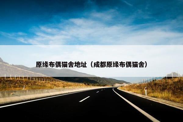 原缘布偶猫舍地址（成都原缘布偶猫舍）