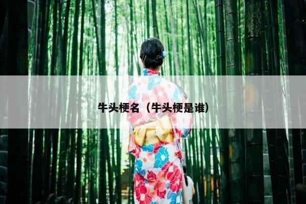 牛头梗名（牛头梗是谁）
