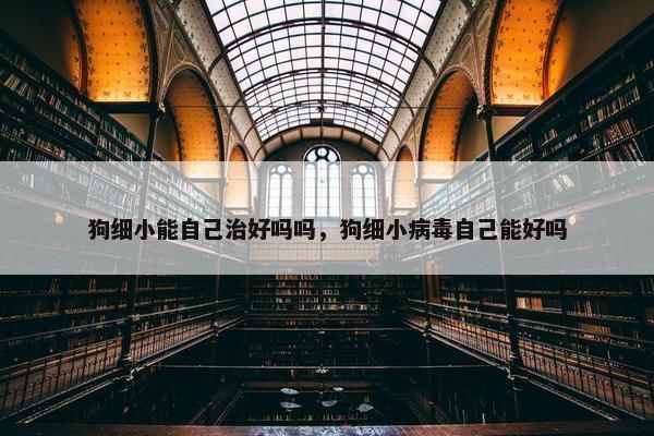 狗细小能自己治好吗吗，狗细小病毒自己能好吗