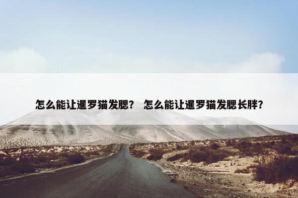 怎么能让暹罗猫发腮？ 怎么能让暹罗猫发腮长胖？