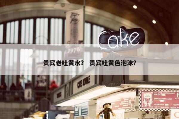 贵宾老吐黄水？ 贵宾吐黄色泡沫？