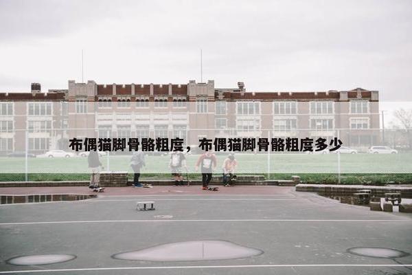 布偶猫脚骨骼粗度，布偶猫脚骨骼粗度多少