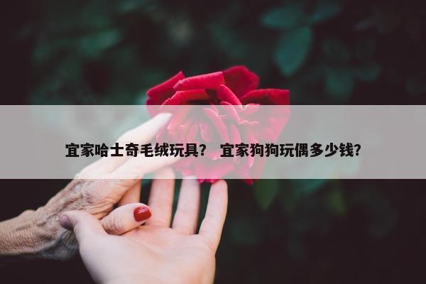 宜家哈士奇毛绒玩具？ 宜家狗狗玩偶多少钱？